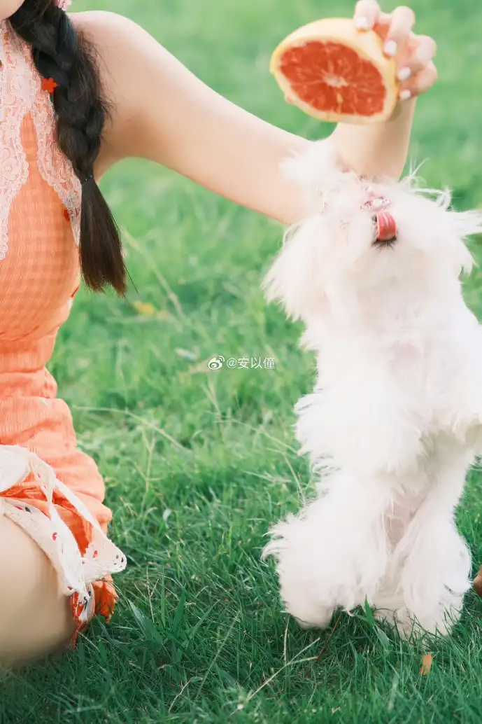 抖音数据可视化